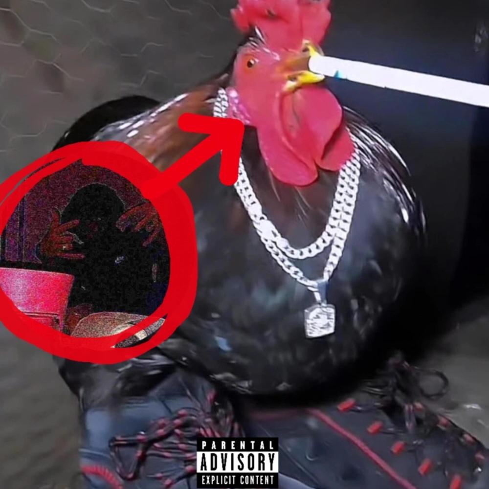 BITCH, GUARDAMI IL PASSO (Explicit)