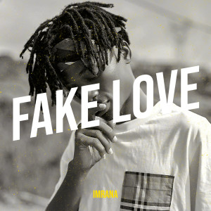 Listen to Fake Love song with lyrics from Imrana