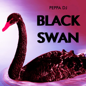 Listen to Tik Tok (Radio Edit) song with lyrics from PEPPA DJ