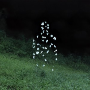 Listen to A Hectare to Roam (feat. Kinnship) song with lyrics from Tutara Peak
