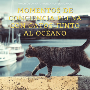 Sonidos épicos de la naturaleza的專輯Momentos De Conciencia Plena Con Gatos Junto Al Océano: Amor De La Naturaleza Por Los Gatos