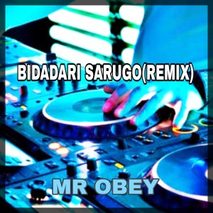 Listen to Bidadari Sarugo (Remix) song with lyrics from MR OBEY