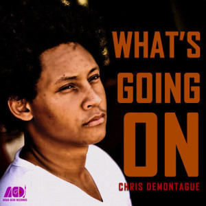 ดาวน์โหลดและฟังเพลง What's Going On พร้อมเนื้อเพลงจาก Chris Demontague