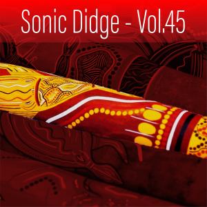 Sacred Didj的專輯Sonic Didge, Vol. 45 (Explicit)