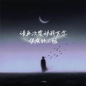 Album 请再次震动我万念俱灰的心脏 from 一个w