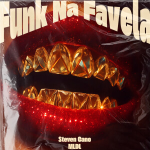 Listen to Funk Na Favela song with lyrics from Steven Cano