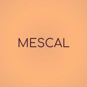 Mescal dari Various