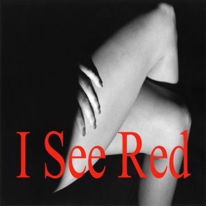 Dengarkan lagu I See Red nyanyian 365 Days dengan lirik
