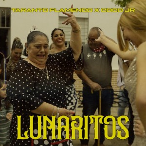 收聽Taranto Flamenco的Lunaritos歌詞歌曲