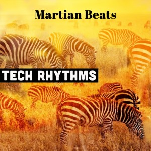 Various的专辑Tech Rhythms