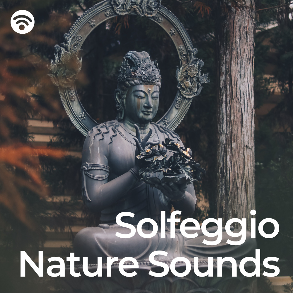 Solace Amidst Solfeggio Stars' Melody