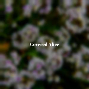 Listen to Visage Remove song with lyrics from Sory Robi