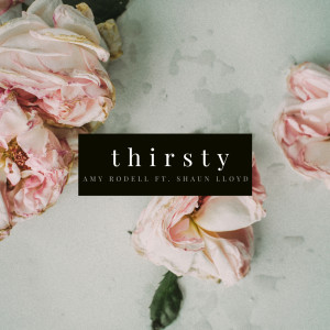 Listen to Thirsty (Radio Edit) song with lyrics from Amy Rodell