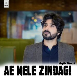 收聽Aqib Niazi的Ae Mele Zindagi歌詞歌曲