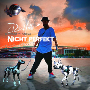 Listen to Nicht Perfekt song with lyrics from Dr Hobbs