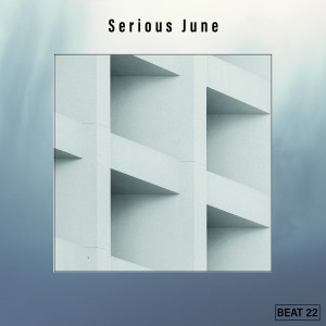 Various Artists的專輯Serious June Beat 22