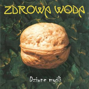 收聽Zdrowa Woda的Dziwne Myśli歌詞歌曲