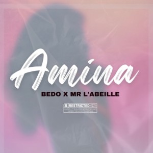 Listen to Amina song with lyrics from Mr  L’abeille