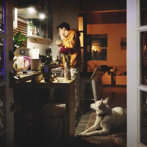 อัลบัม CHINESE IN THE MICROWAVE ศิลปิน Clinton Kane