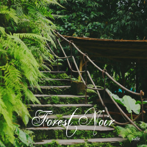 Listen to Safe song with lyrics from Forest Noir