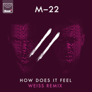 M-22的專輯How Does It Feel
