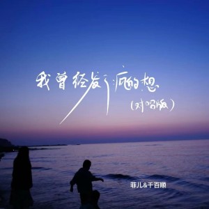 Album 我曾经发了疯的想（对唱版） from 菲儿