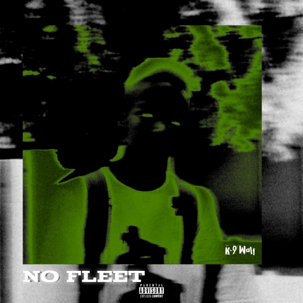 No Fleet (Explicit)