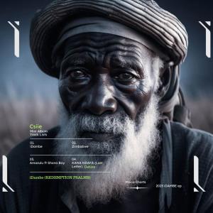 收聽Csiie的Amazulu (feat. Shona Boy)歌詞歌曲