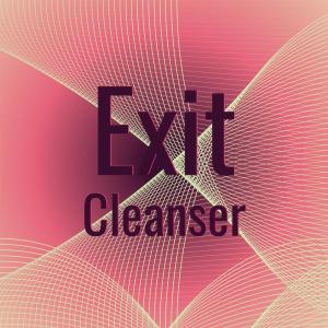 Album Exit Cleanser from Various