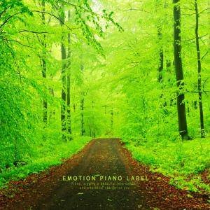 Album Healing piano collection with the sound of the blue nature (Nature Ver.) from Various Artists