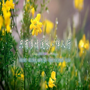 蔡志展的专辑東方冥想音樂系列 (16): 只有多情流水、伴人行