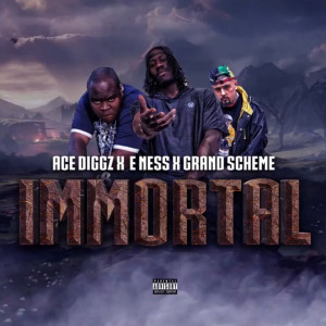 收聽Ace Diggz的Immortal [feat. E Ness & Grandscheme] (Live|Explicit)歌詞歌曲