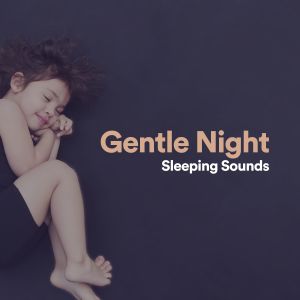 Gentle Night Sleeping Sounds dari Relaxing Music