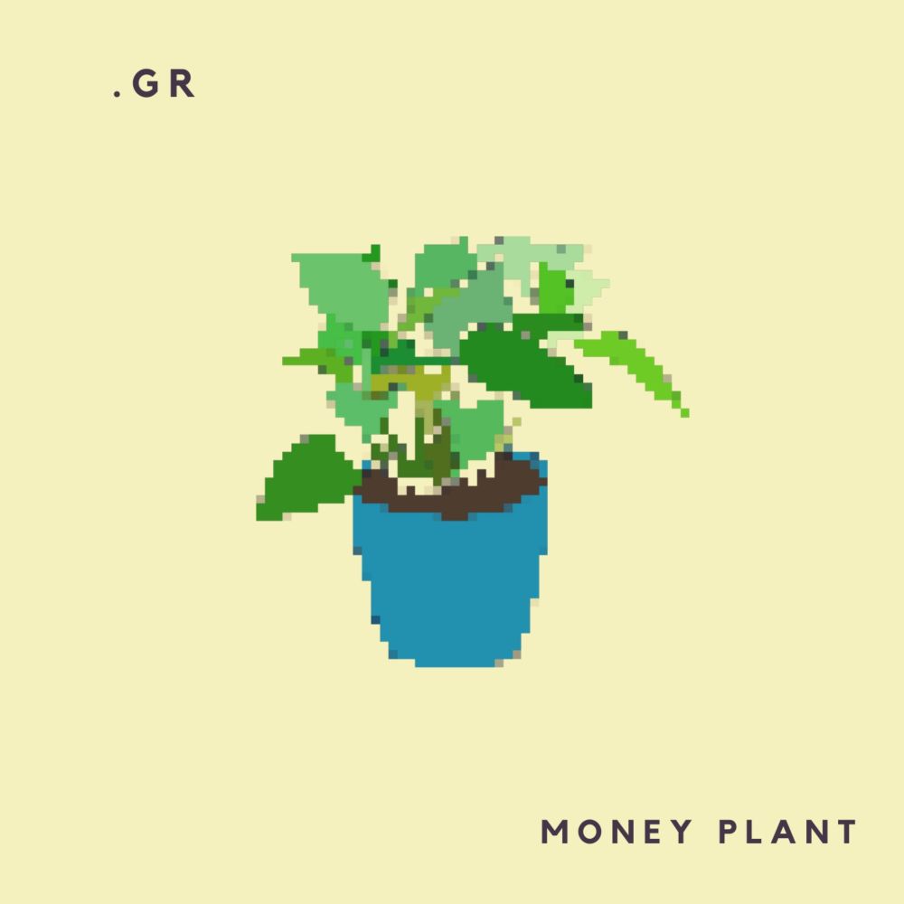 MONEY PLANT