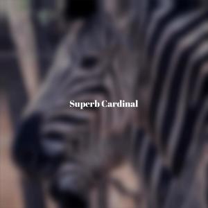 收听Kerlyn Fiti的My Approximately歌词歌曲