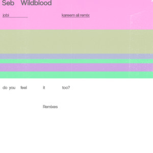 Seb Wildblood的专辑Jobi (Kareem Ali Remix)