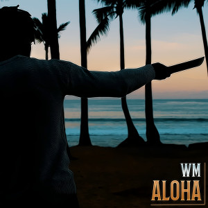 收听WM的ALOHA歌词歌曲
