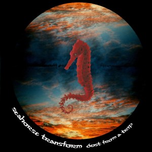 收听Seahorse Transform的Djaja Dub歌词歌曲