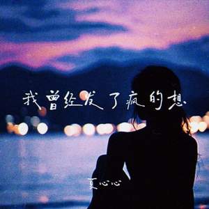 Listen to 我曾经发了疯的想 song with lyrics from 夏心心