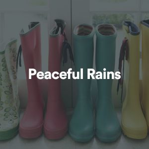 Album Peaceful Rains (Explicit) from Nature Soundscape