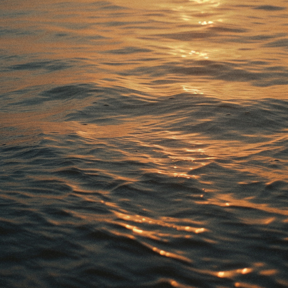Slowly (River)