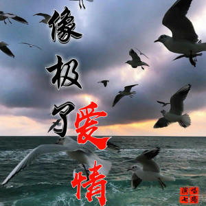 收聽亲哥的像極了愛情歌詞歌曲