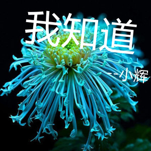 Dengarkan 我知道 lagu dari 小辉 dengan lirik