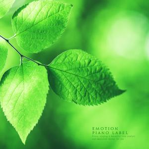 收聽Jang Yejin的Melody of dawn歌詞歌曲