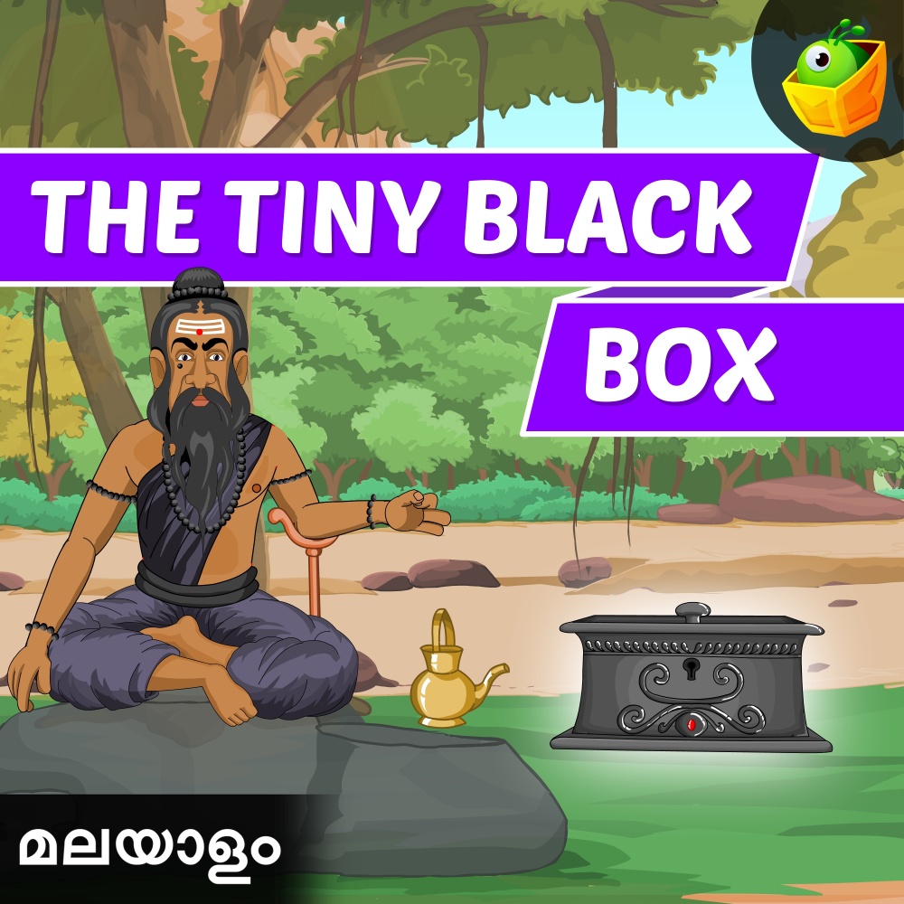The Tiny Black Box