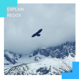 Redox的專輯EXPLAIN