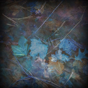 Listen to Storms Never Last song with lyrics from Ocean Carolina