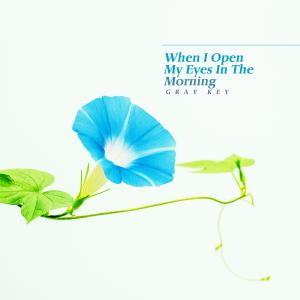 Album When I Open My Eyes In The Morning oleh Gray Key