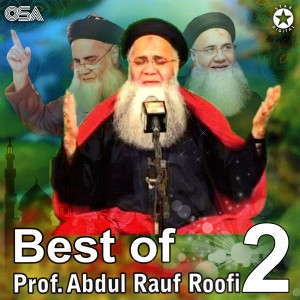 Album Best of Prof. Abdul Rauf Roofi, Pt. 2, Vol. 25 from Prof. Abdul Rauf Roofi