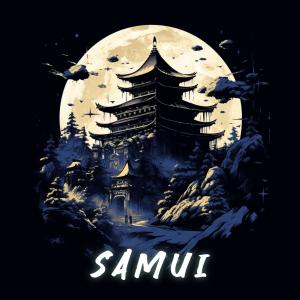 收聽HAAVE的Samui (feat. ChidoriBeatz)歌詞歌曲